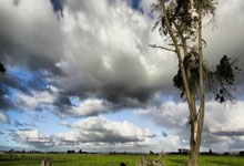 星空娱乐：18强赛下轮大猜想：巴林+印尼全输，国足逃离垫底，澳大利亚跌第3.