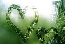 星空娱乐：2-1后！意甲争冠前景：那不勒斯差3分，国米8场对3强队，翻盘有望.