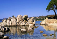 2024-2025赛季中国冰壶联赛收官2025-03-11.